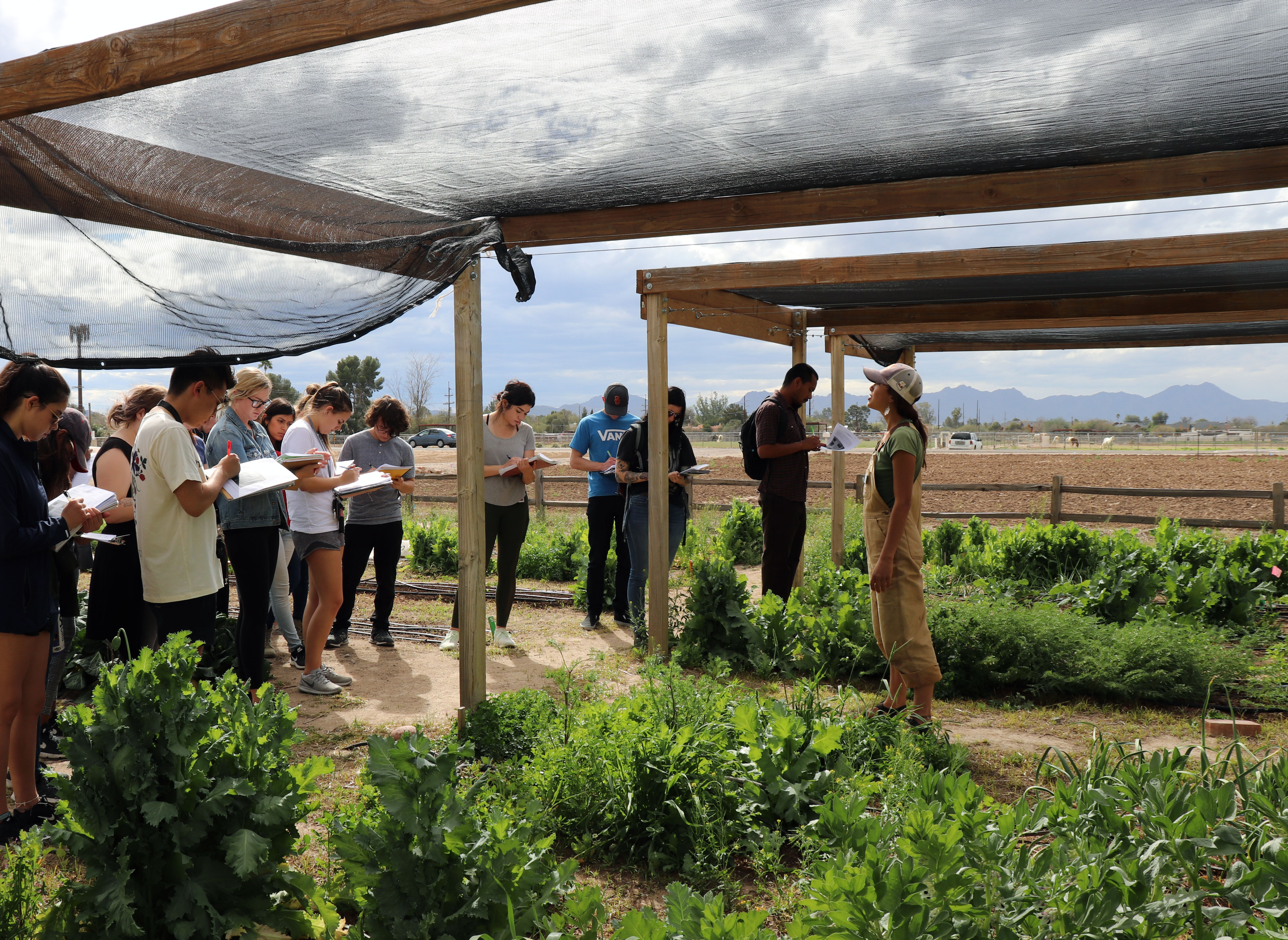 Students learn about soil moisture at Tucson Garden Farm