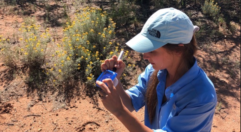 Ella Kaufman interned in a lab studying rangeland management