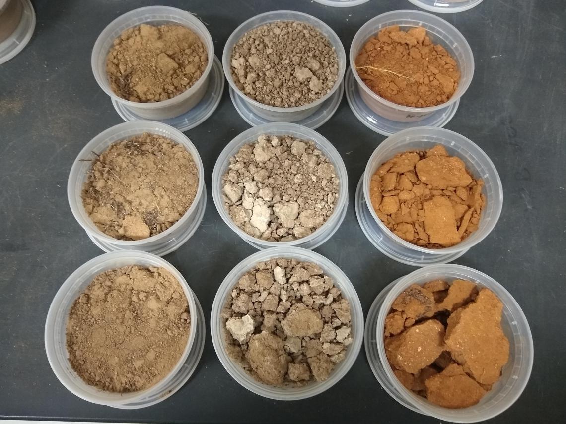 soil collected for research