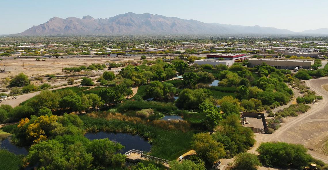 Sweetwater Wetlands in Tucson Arizona